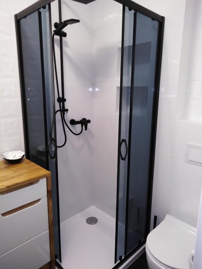 Apartament Joanna Sanok Esterno foto